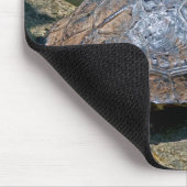 De schildpad in Tortuguero - Costa Rica Muismat (Hoek)