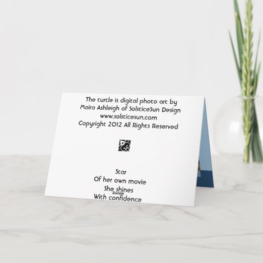 De schildpad kaart (Achterkant)