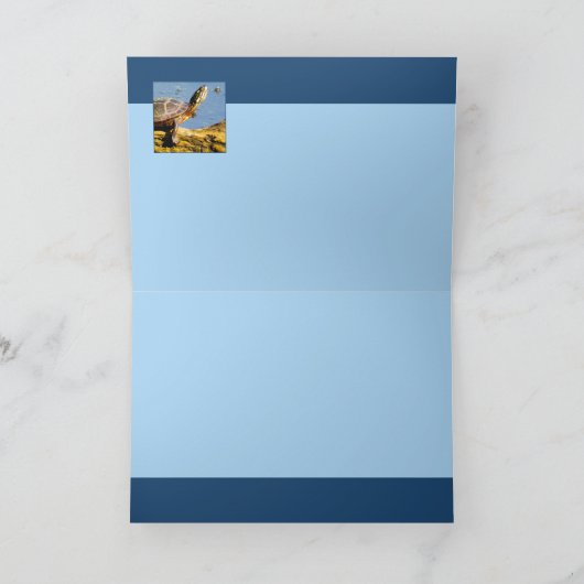 De schildpad kaart (Binnen)