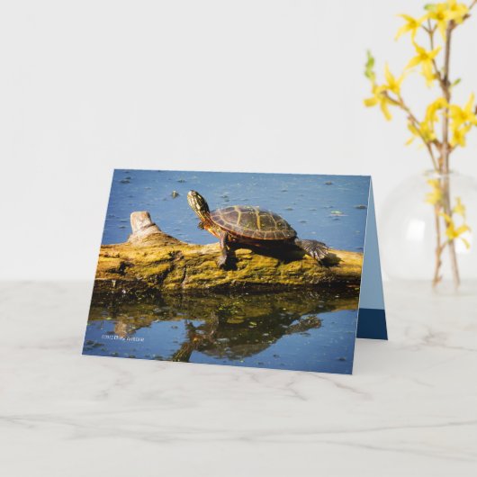 De schildpad kaart (Gele Bloem)