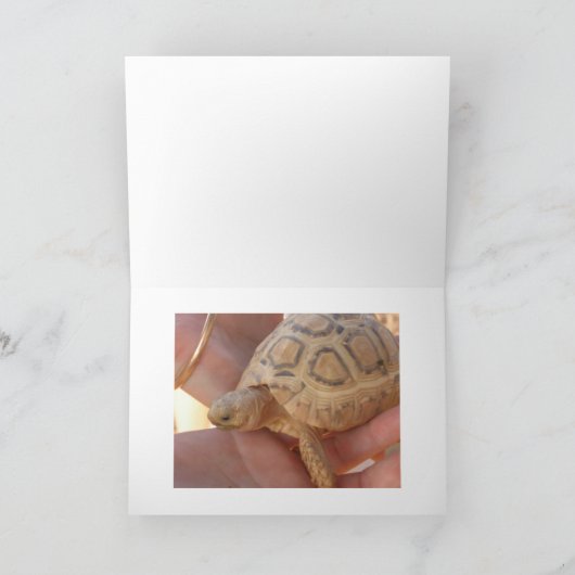 De Schildpad van het baby Kaart (Binnen)