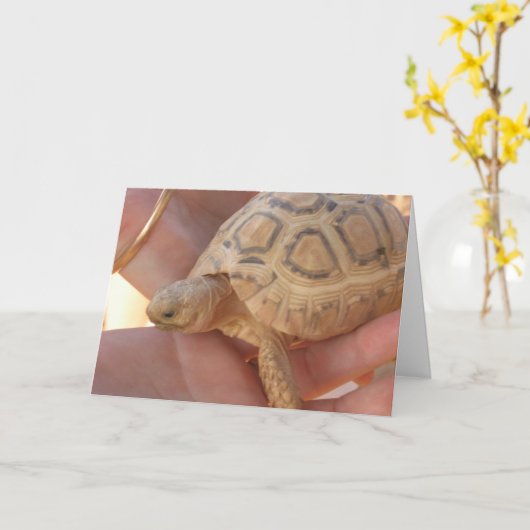 De Schildpad van het baby Kaart (Gele Bloem)