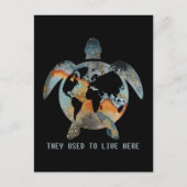 De schildpadden die ze hier leefden, schildpadden briefkaart (Voorkant)