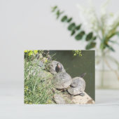 De schildpadden: Er is geen plaats voor mij! Briefkaart (Staand voorkant)