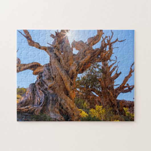 De Schildwachtboom Legpuzzel (Horizontaal)