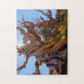 De Schildwachtboom Legpuzzel (Verticaal)