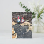 De schimmel kabouters briefkaart (Staand voorkant)