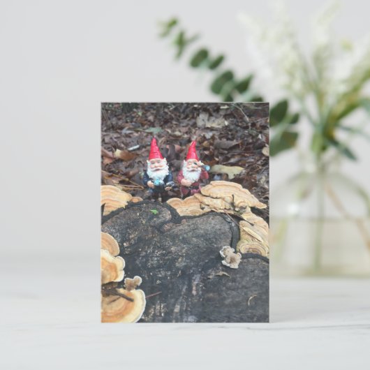 De schimmel kabouters briefkaart (Staand voorkant)