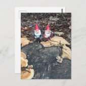 De schimmel kabouters briefkaart (Voorkant / Achterkant)