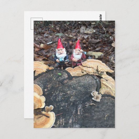 De schimmel kabouters briefkaart (Voorkant / Achterkant)