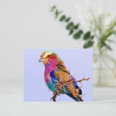 De schitterende Afrikaanse Vogel van de Rol Feestdagenkaart (Staand voorkant)