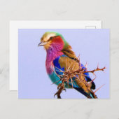 De schitterende Afrikaanse Vogel van de Rol Feestdagenkaart (Voorkant / Achterkant)