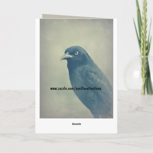 De schitterende Foto van de Raaf Kaart (Achterkant)