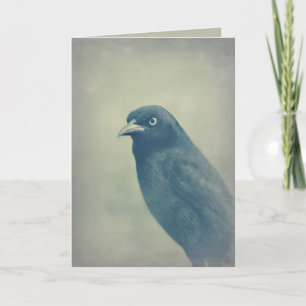 De schitterende Foto van de Raaf Kaart