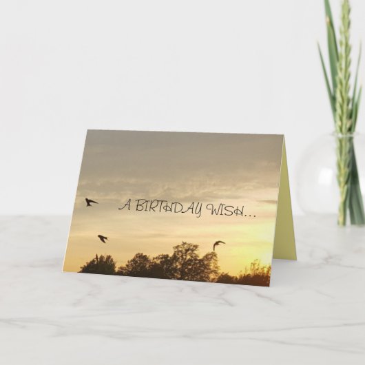 De schitterende Kaart van de Verjaardag (Voorkant)