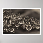 de schoen valt poster (Voorkant)