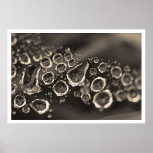 de schoen valt poster