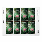 DE SCHOMMEL  groen roze fuchsia Etiket (Full Sheet)