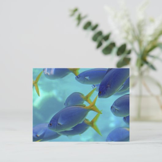 De school is weg. briefkaart (Staand voorkant)