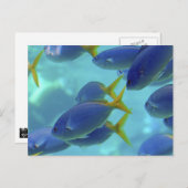 De school is weg. briefkaart (Voorkant / Achterkant)