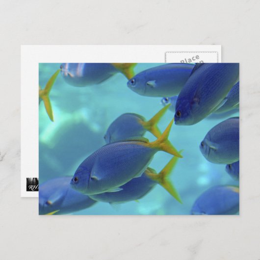 De school is weg. briefkaart (Voorkant / Achterkant)