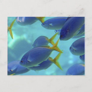 De school is weg. briefkaart