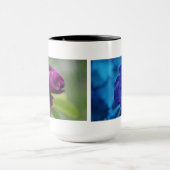 De School van het Huis van het kantoor Mok (Midden)