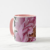 De School van het Huis van het kantoor Mok (Voorkant links)