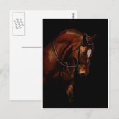 De schoonheid briefkaart (Voorkant / Achterkant)