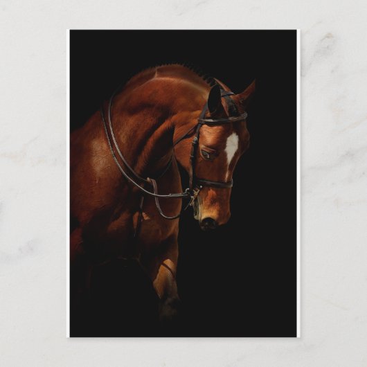 De schoonheid briefkaart (Voorkant)