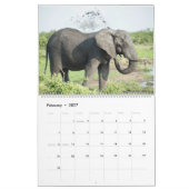 De schoonheid van Afrika Kalender (Feb 2027)