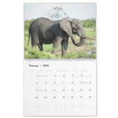 De schoonheid van Afrika Kalender (Feb 2026)