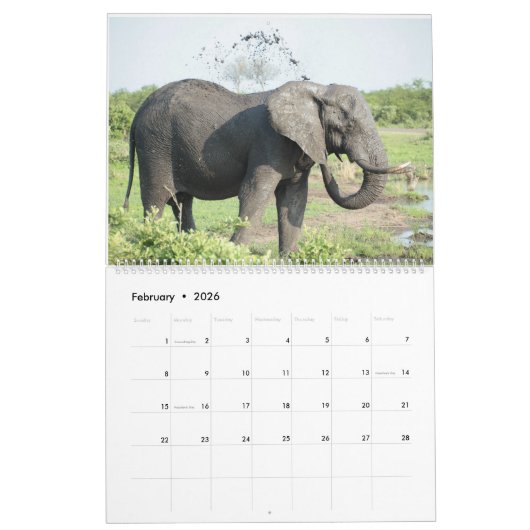 De schoonheid van Afrika Kalender (Feb 2026)