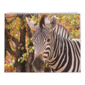 De schoonheid van Afrika Kalender (Hoes)