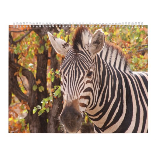 De schoonheid van Afrika Kalender (Hoes)