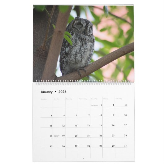 De schoonheid van Afrika Kalender (Jan 2026)