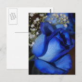 De schoonheid van blauw briefkaart (Voorkant / Achterkant)