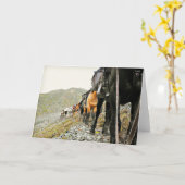 De schoonheid van Chisana Kaart (Gele Bloem)