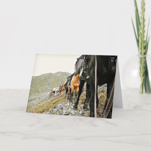 De schoonheid van Chisana Kaart (Voorkant)