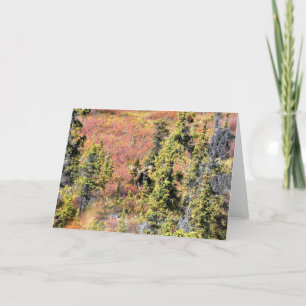 De schoonheid van Chisana Kaart