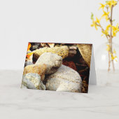 De schoonheid van Chisana Kaart (Gele Bloem)