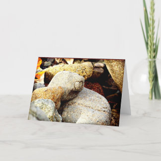 De schoonheid van Chisana Kaart