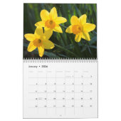 De schoonheid van Daffodils Kalender (Jan 2026)