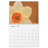 De schoonheid van Daffodils Kalender (Feb 2027)