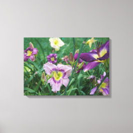 De schoonheid van Daylilies Canvas Afdruk