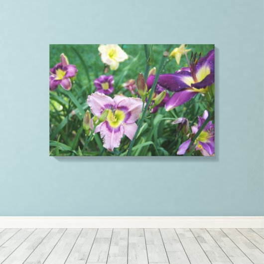De schoonheid van Daylilies Canvas Afdruk (Insitu (Houten vloer))