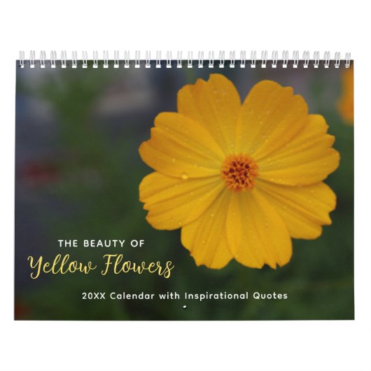 De schoonheid van de Gele Kalender van de Bloemen (Hoes)