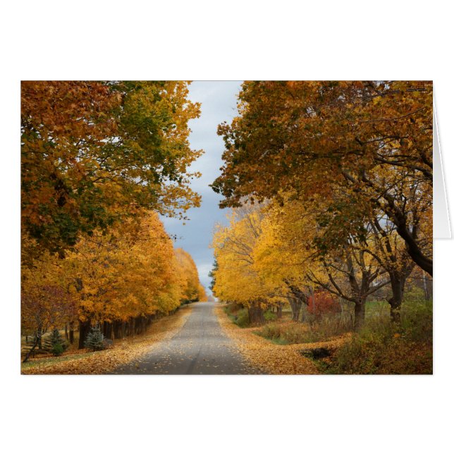 "De schoonheid van de herfst" (Voorkant Horizontaal)