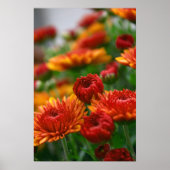 De schoonheid van de Herfst Poster (Voorkant)