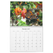 De schoonheid van de Kalender van Butterflies (Jan 2027)